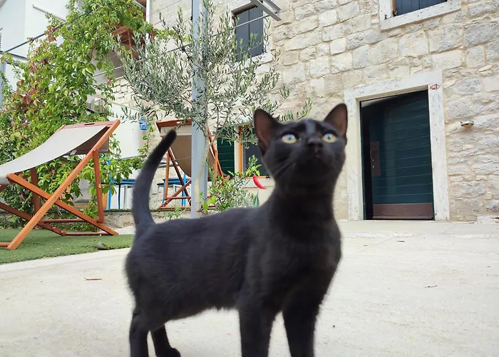 Apartmani Peljesac Sova