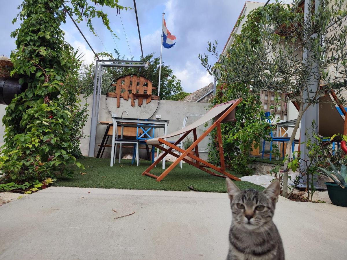 Peljesac Sova *
