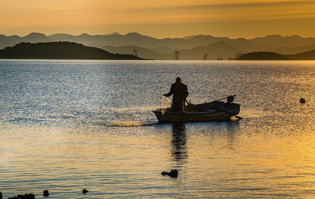 Peljesac Sova