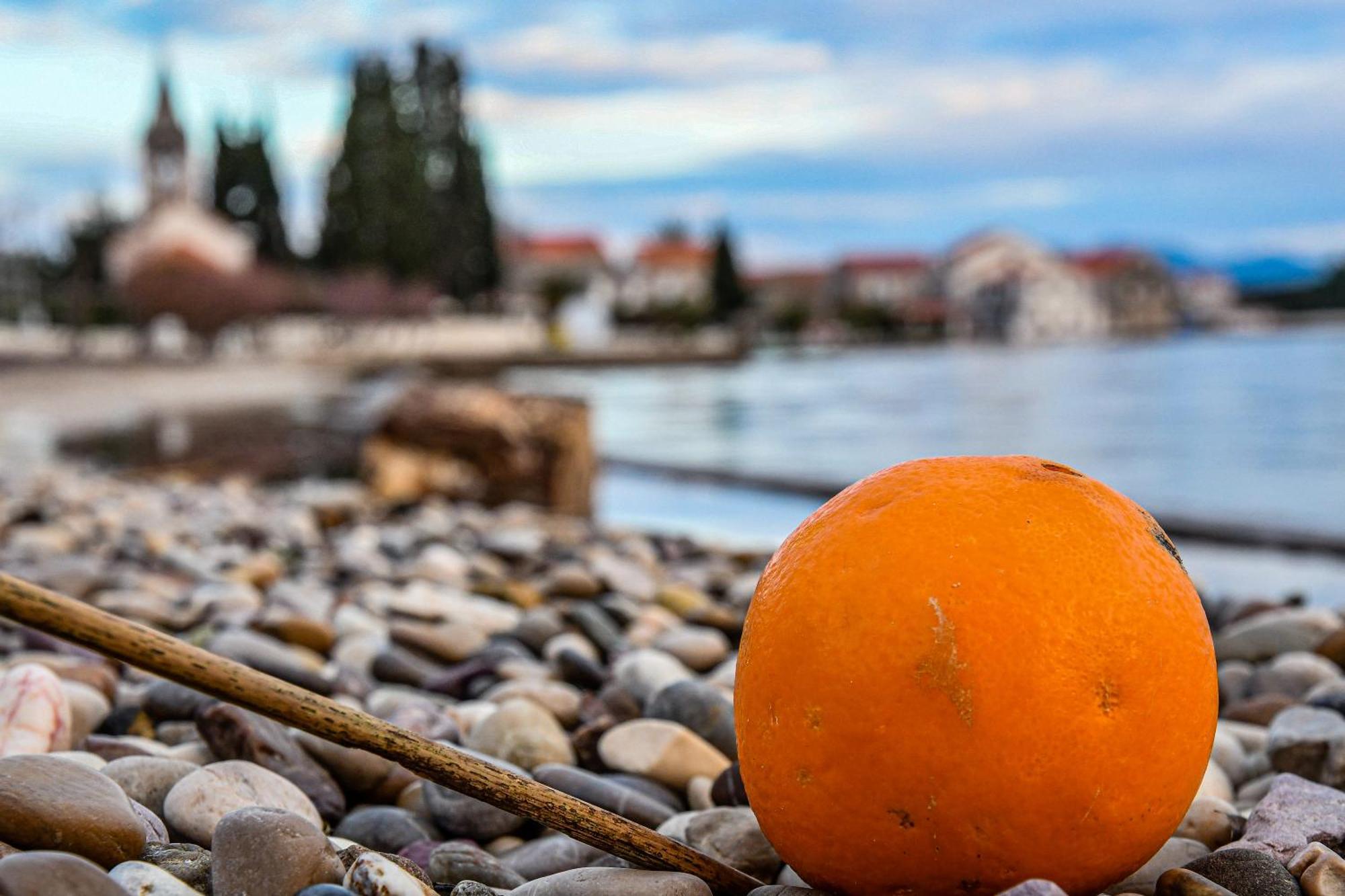 Peljesac Sova * Sreser