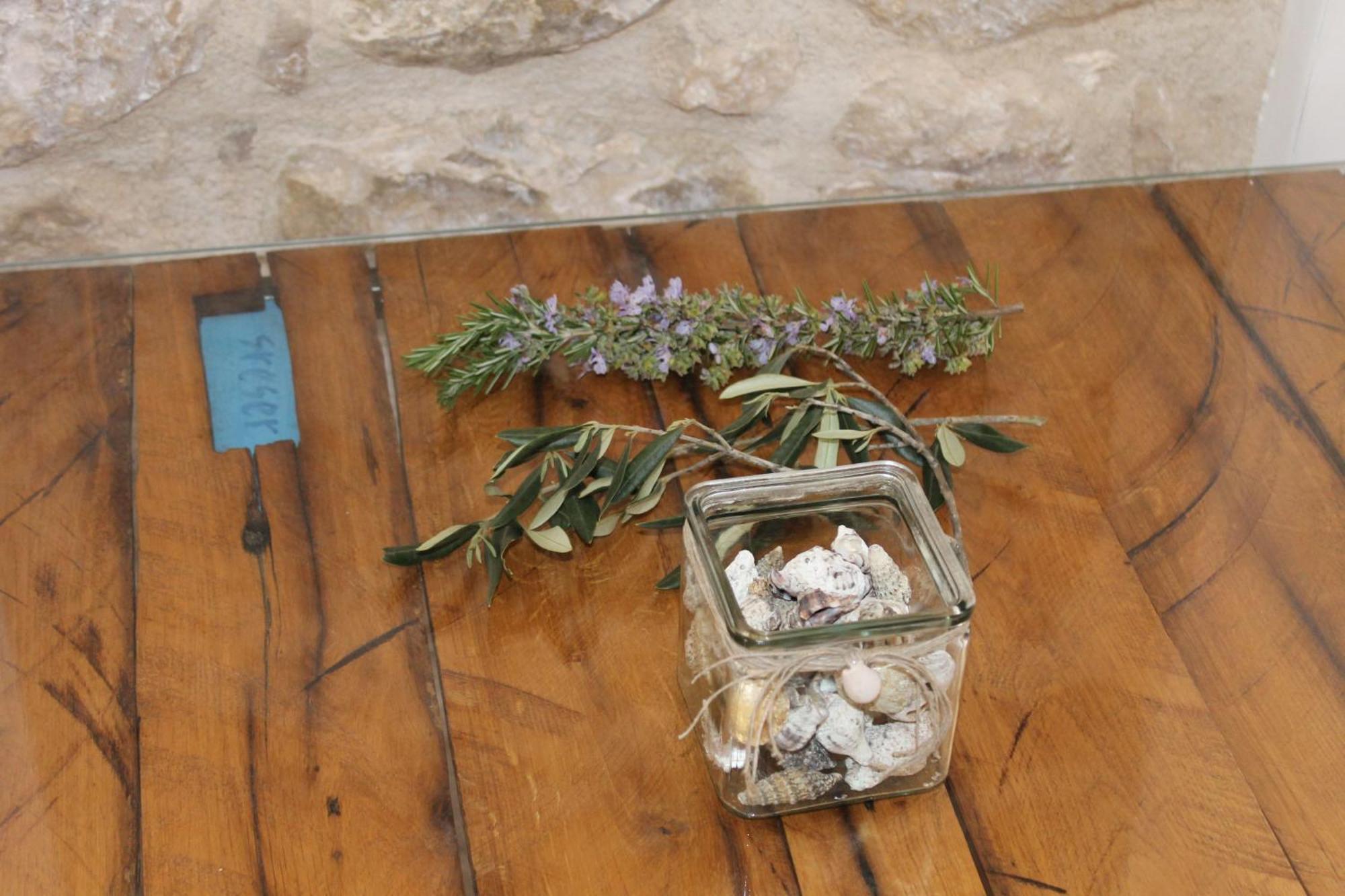 Peljesac Sova *