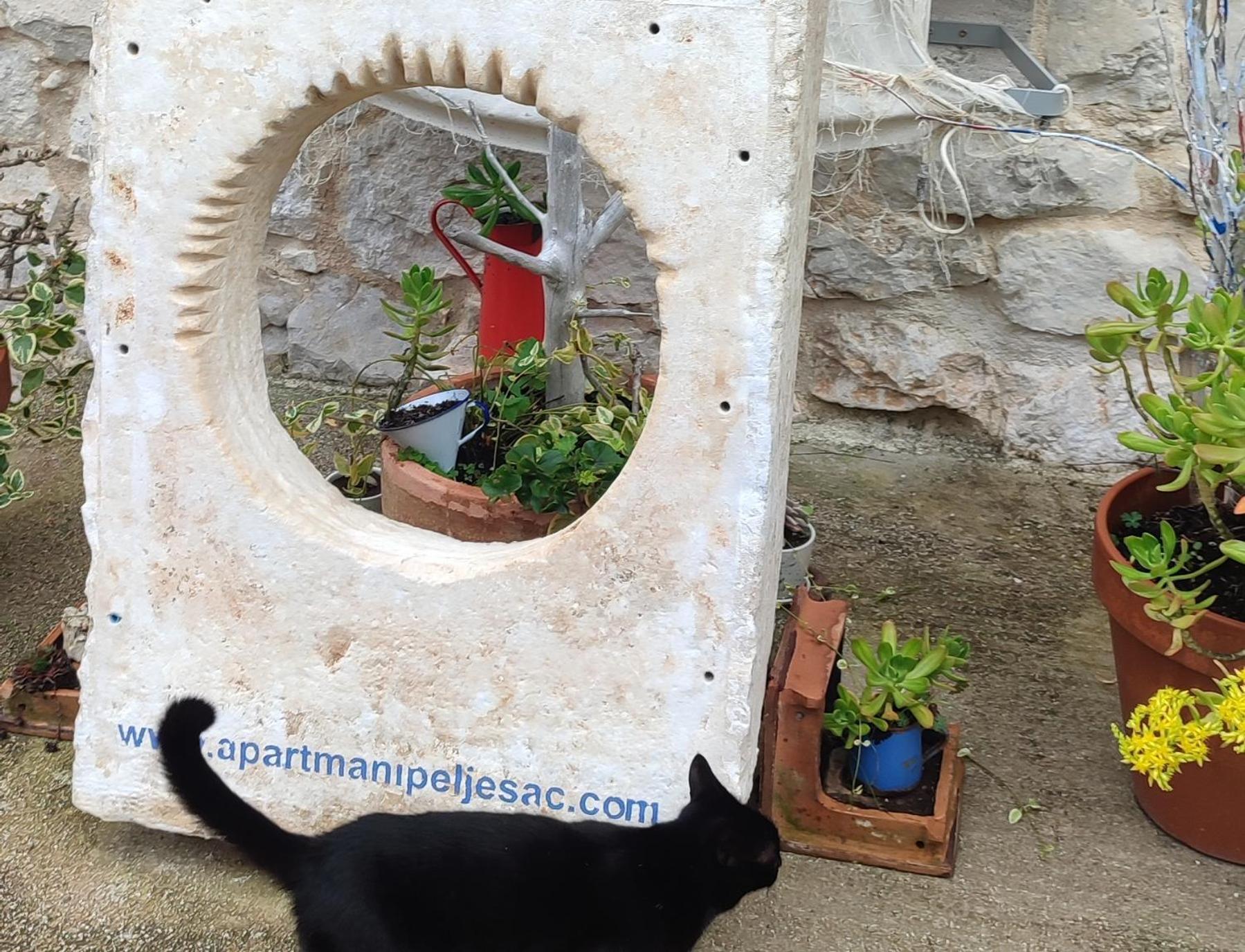Peljesac Sova Sreser